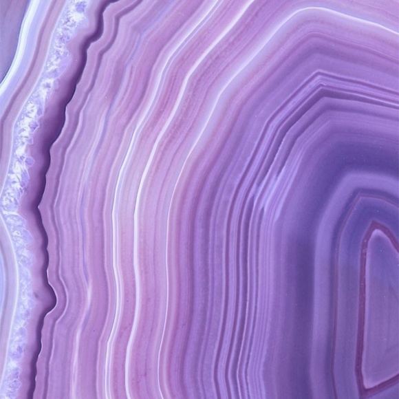 Meet your Posher, Abbie - Picture 1 of 1